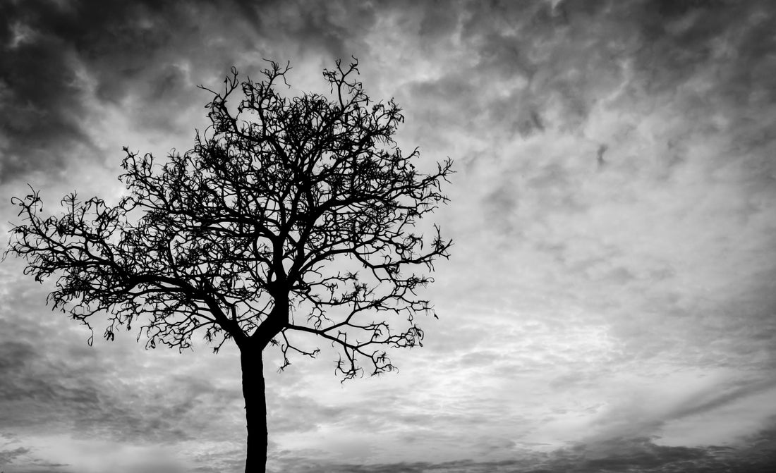What Does the Bible Say about Lamenting?