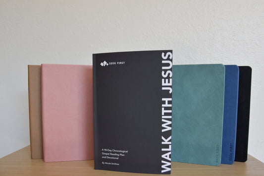 Walk with Jesus: A 90-Day Journey to Know Him, Follow Him, and Find Rest