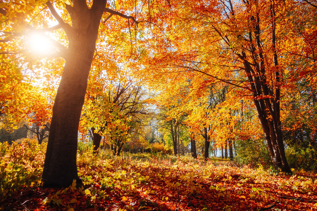 Finding Hope and Strength in Seasons of Waiting