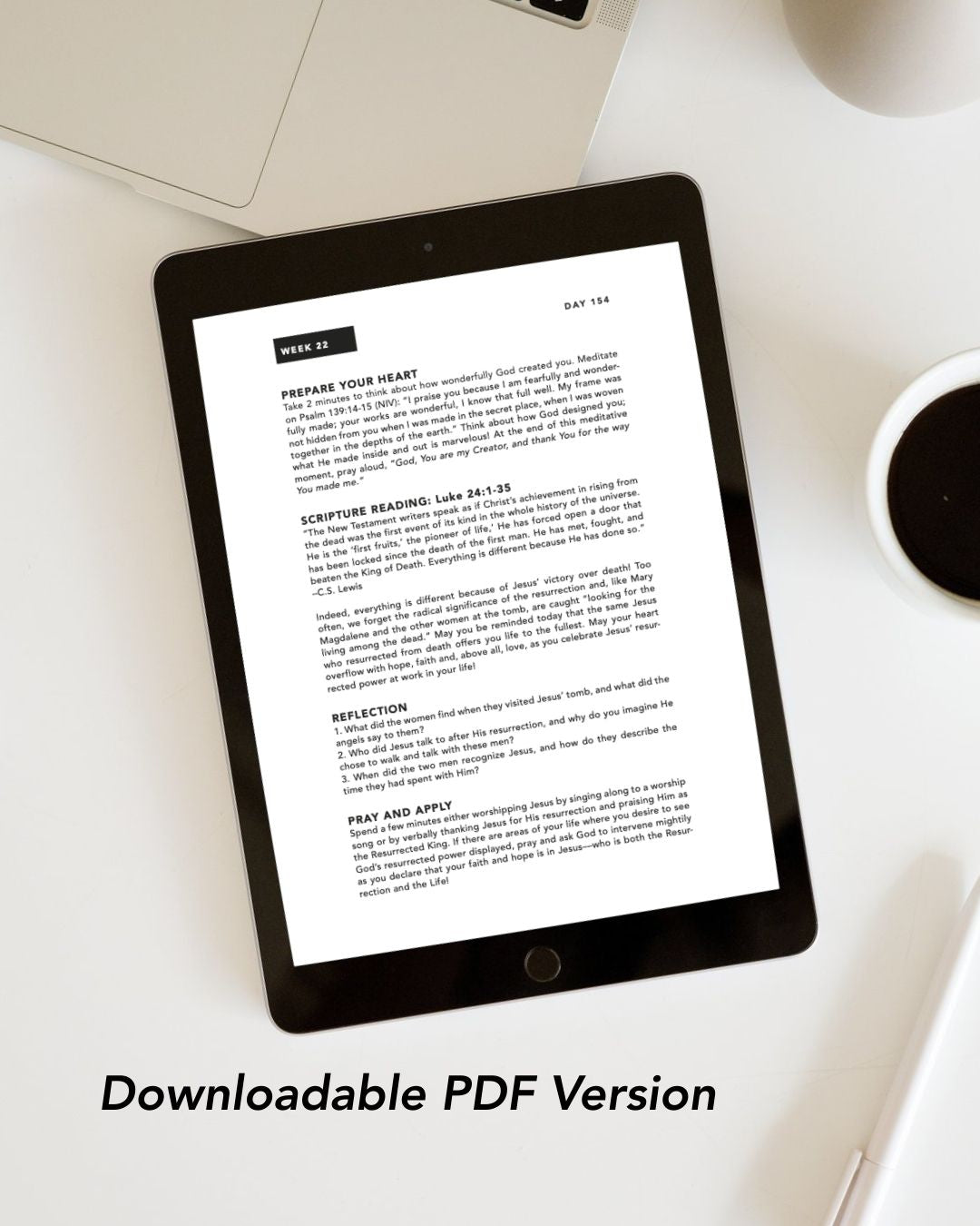 Digital Seek First 365