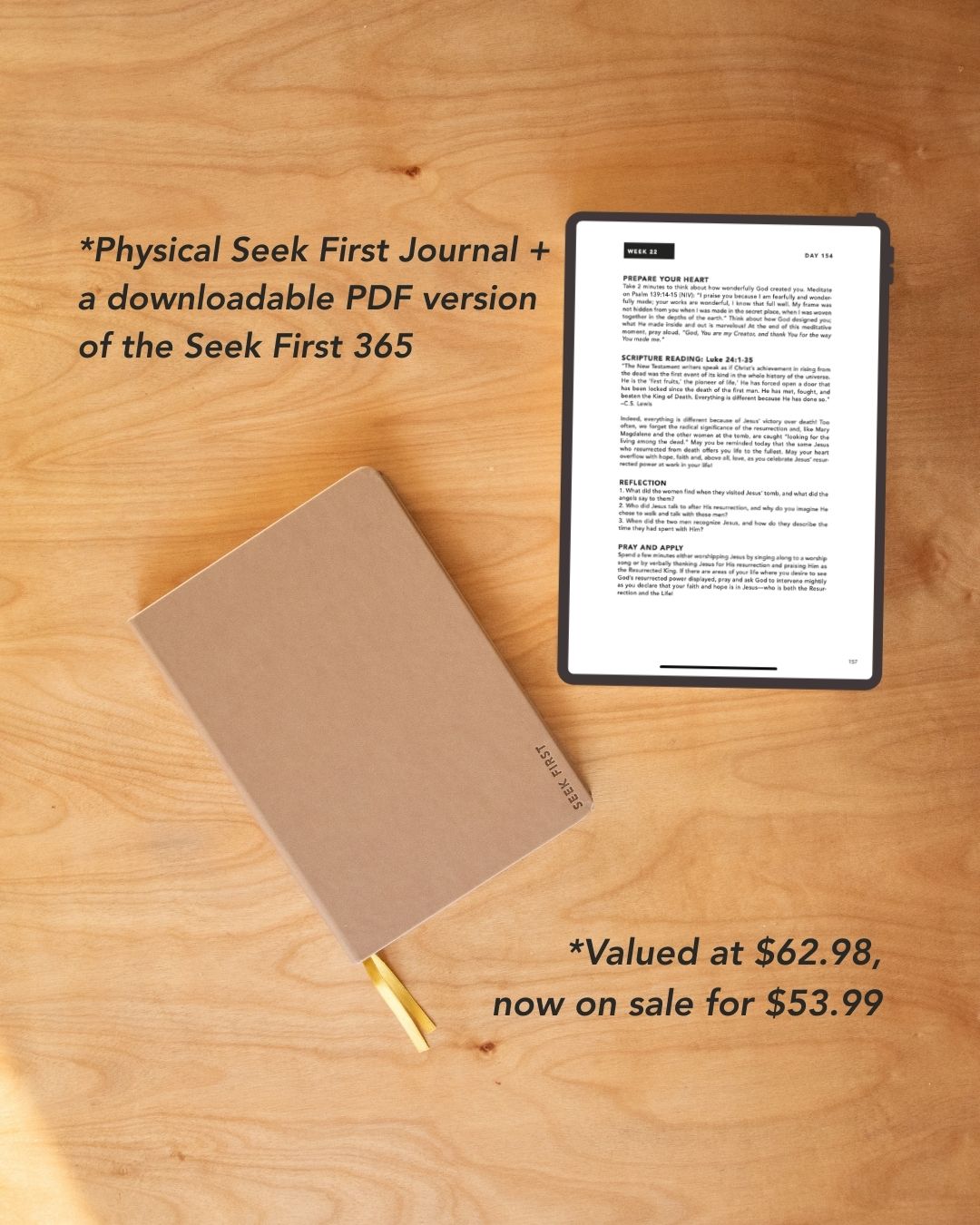 The Digital Seek First Bundle