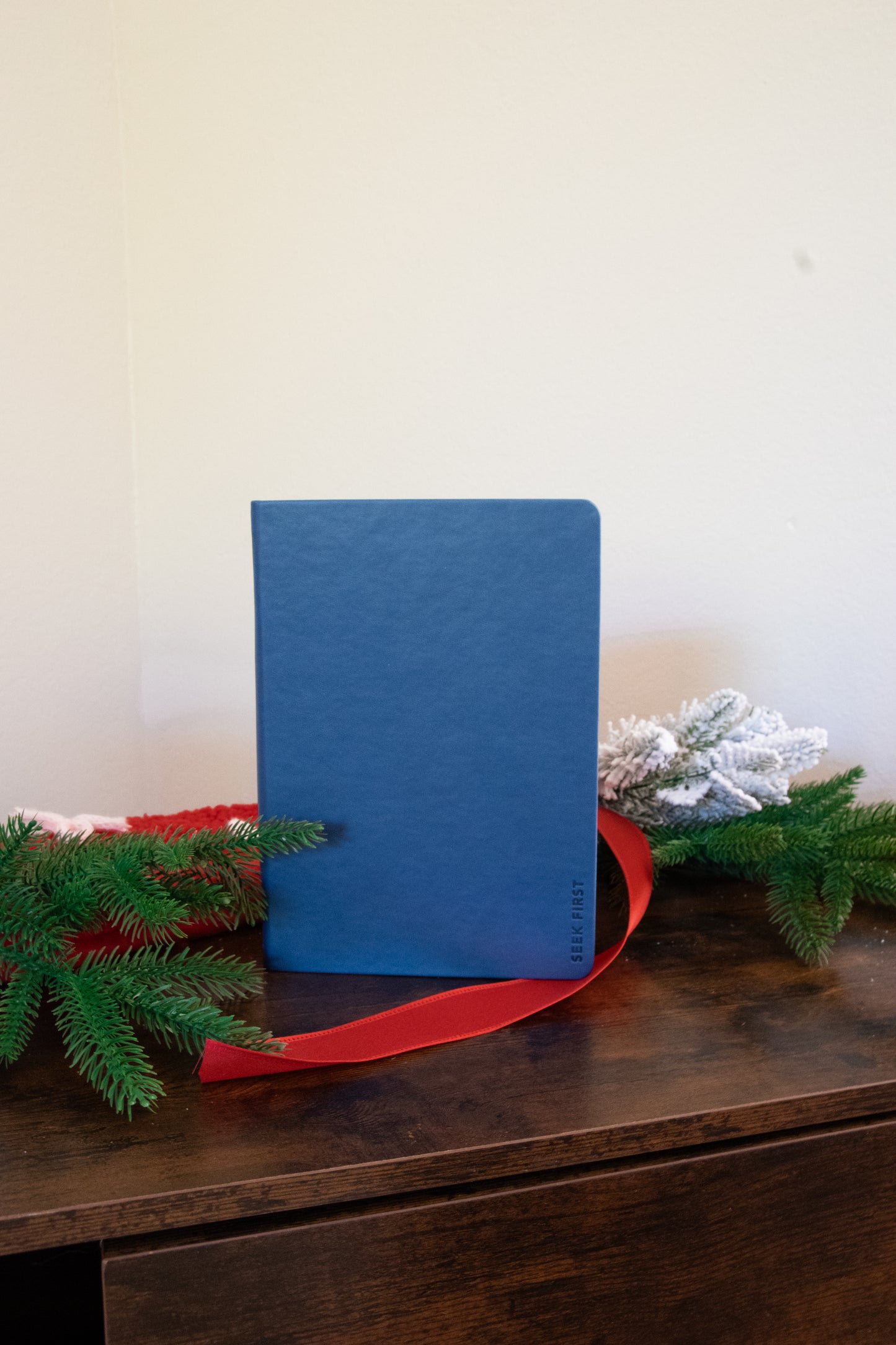 The Seek First Journal