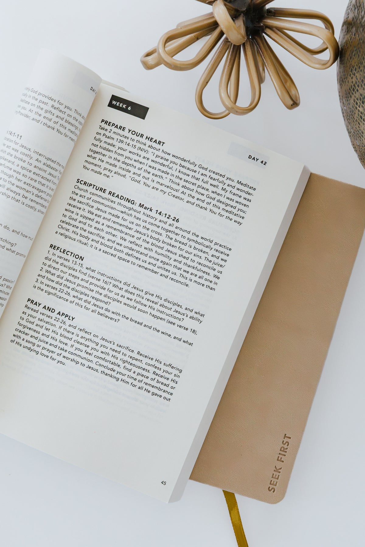 The Seek First 365 Bundle