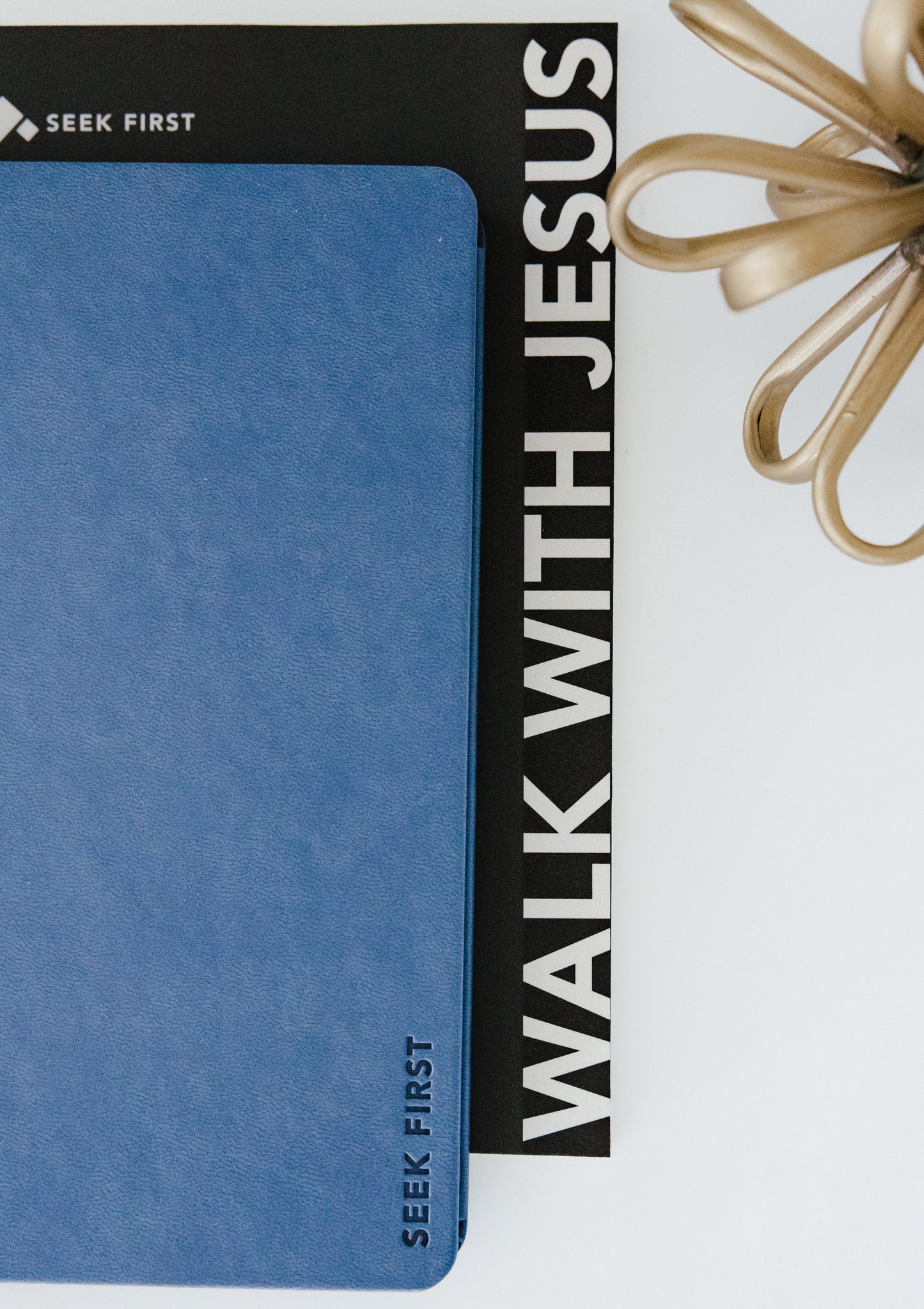 The Walk With Jesus Bundle