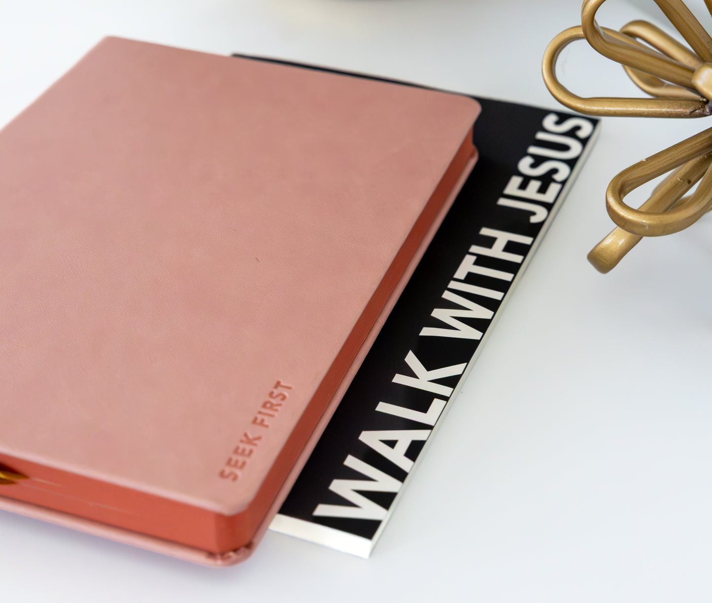 The Walk With Jesus Bundle