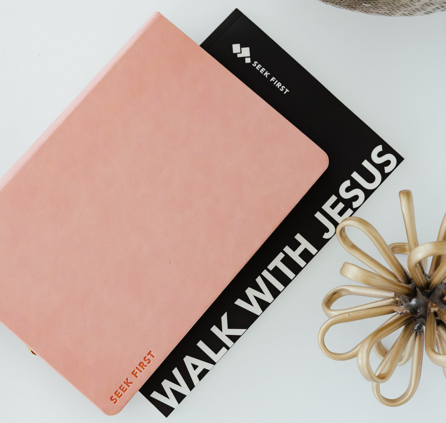 The Walk With Jesus Bundle
