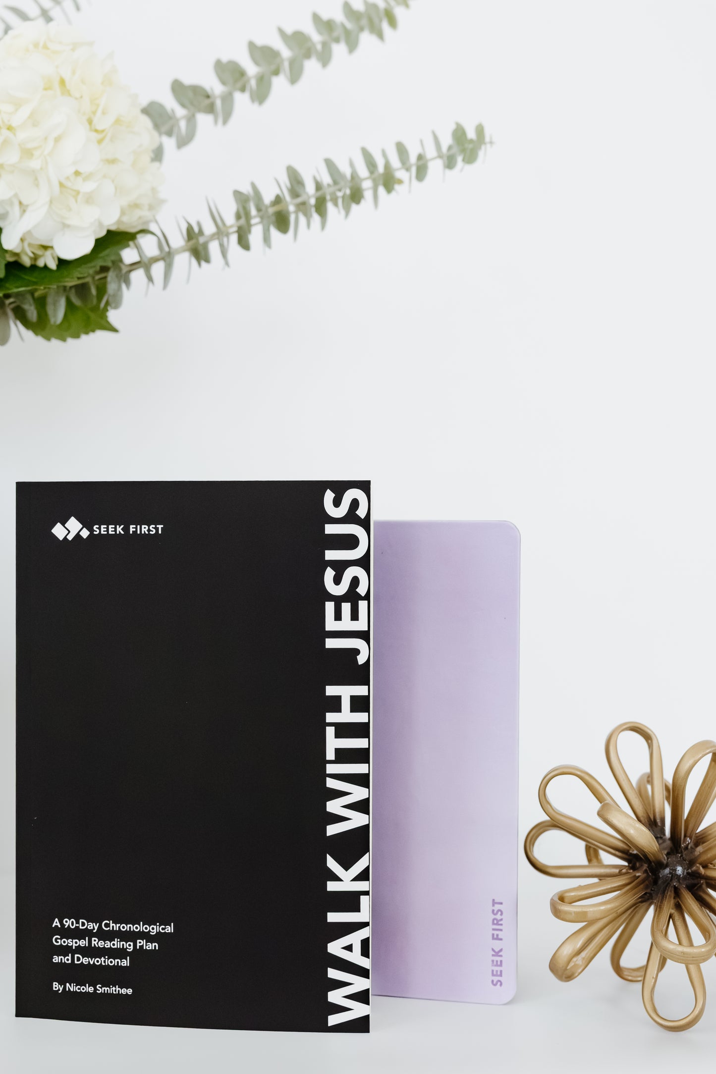 The Walk With Jesus Bundle